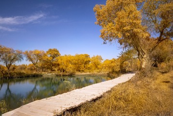 _MG_9318.jpg-1