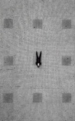 DJI_0202