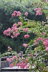 9A537AE3-D4B3-4BD2-91C4-9DD483B9A181/L0/001