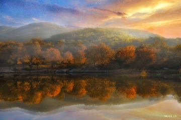 Fog in late autumn