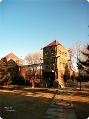 P1030477_
