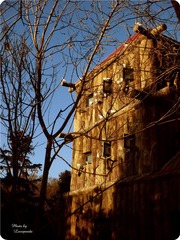 P1030563_