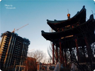 P10305791_