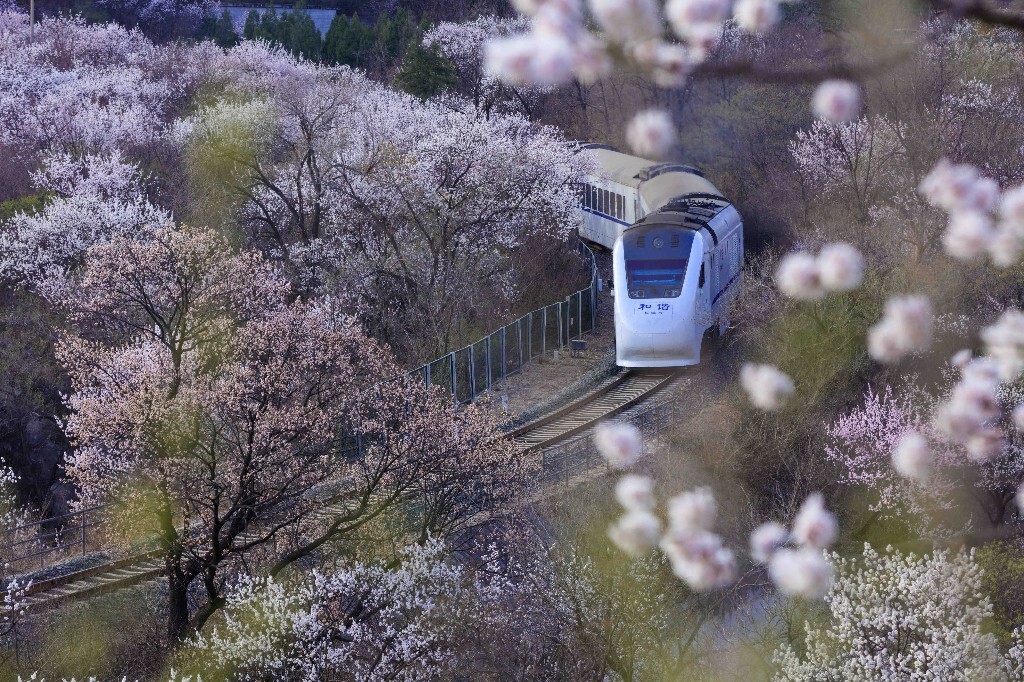 乍见之欢