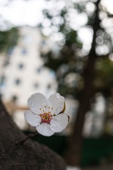 广元城区2022-03-03 下午7