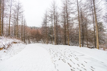IMG_1640