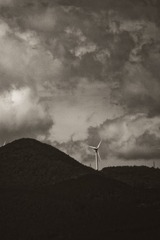 IMG_4118-2
