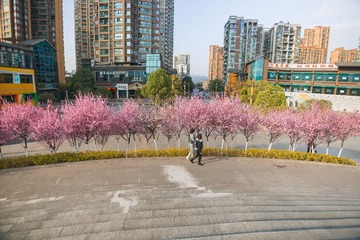 广元城区2022-03-03 下午7