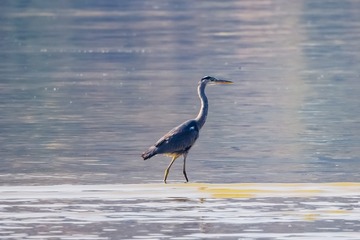 IMG_2381