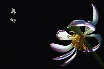 IMG_3968_