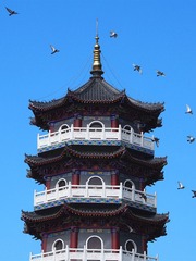 P1010237_