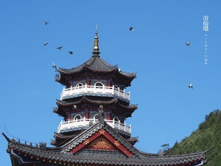 P1010236__