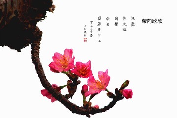 P1010191___