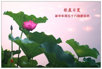 IMG_8049_____