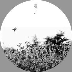 蜂舞芳华