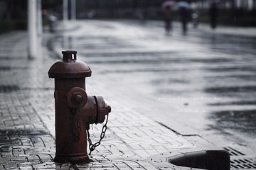 雨中小品 90微距