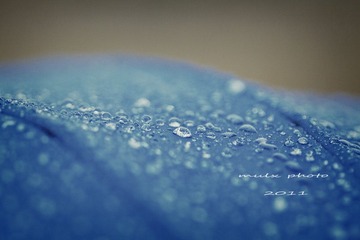 雨中小品 90微距 水珠小精灵