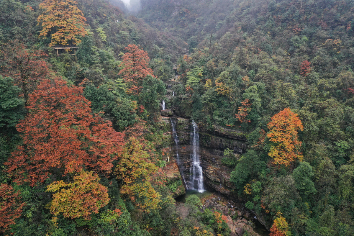 深秋时节隐藏在乌蒙山深处的昭通彝良小草坝各种红黄蓝绿的色彩覆盖了