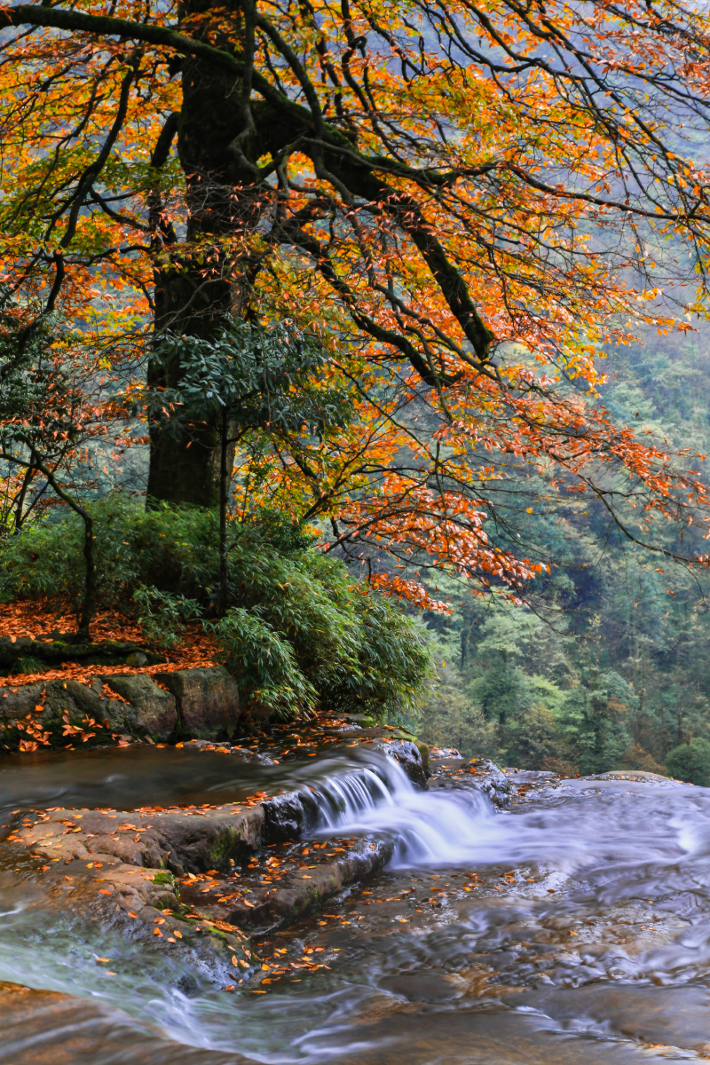 深秋时节隐藏在乌蒙山深处的昭通彝良小草坝各种红黄蓝绿的色彩覆盖了
