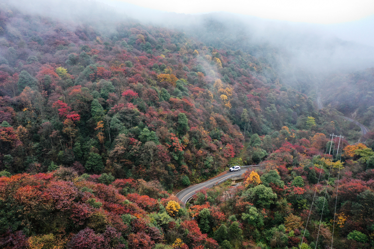 深秋时节隐藏在乌蒙山深处的昭通彝良小草坝各种红黄蓝绿的色彩覆盖了