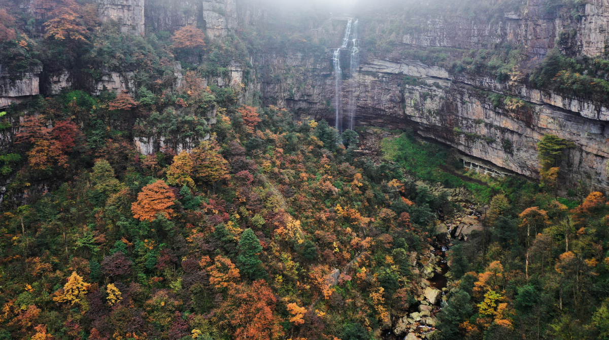深秋时节隐藏在乌蒙山深处的昭通彝良小草坝各种红黄蓝绿的色彩覆盖了