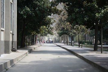 母校