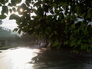 IMAG0330