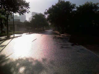 IMAG0331