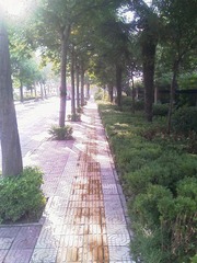 IMAG0333