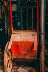 364803