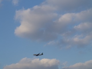 B0DBAAC2-86AB-4100-86F1-DF368AC97B86/L0/001