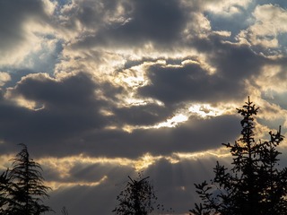 69D0DF07-49D5-4329-9B14-5A2F0C775CEC/L0/001