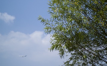C1FD8AEE-0925-4B7C-9CBC-539BC48CAEDE/L0/001