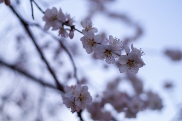 B32CA2B8-E5CE-4D8A-A778-72FA94D63890/L0/001