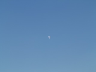 52F9A274-BB50-4714-8017-02F28B5D4CF6/L0/001