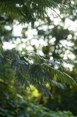 4ECCF4CF-4FD1-488C-AFFD-30E79DC45209/L0/001