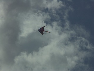 C198D7BB-F1B0-43F7-B2E0-3756E90ABC06/L0/001