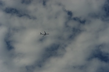 69B9D890-E7E2-41AD-8293-7987245F519D/L0/001