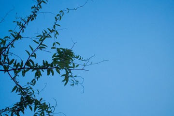 DSC05073-5