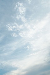 DSC04888-12