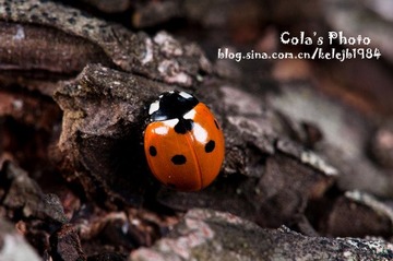 DSC_8111.jpg