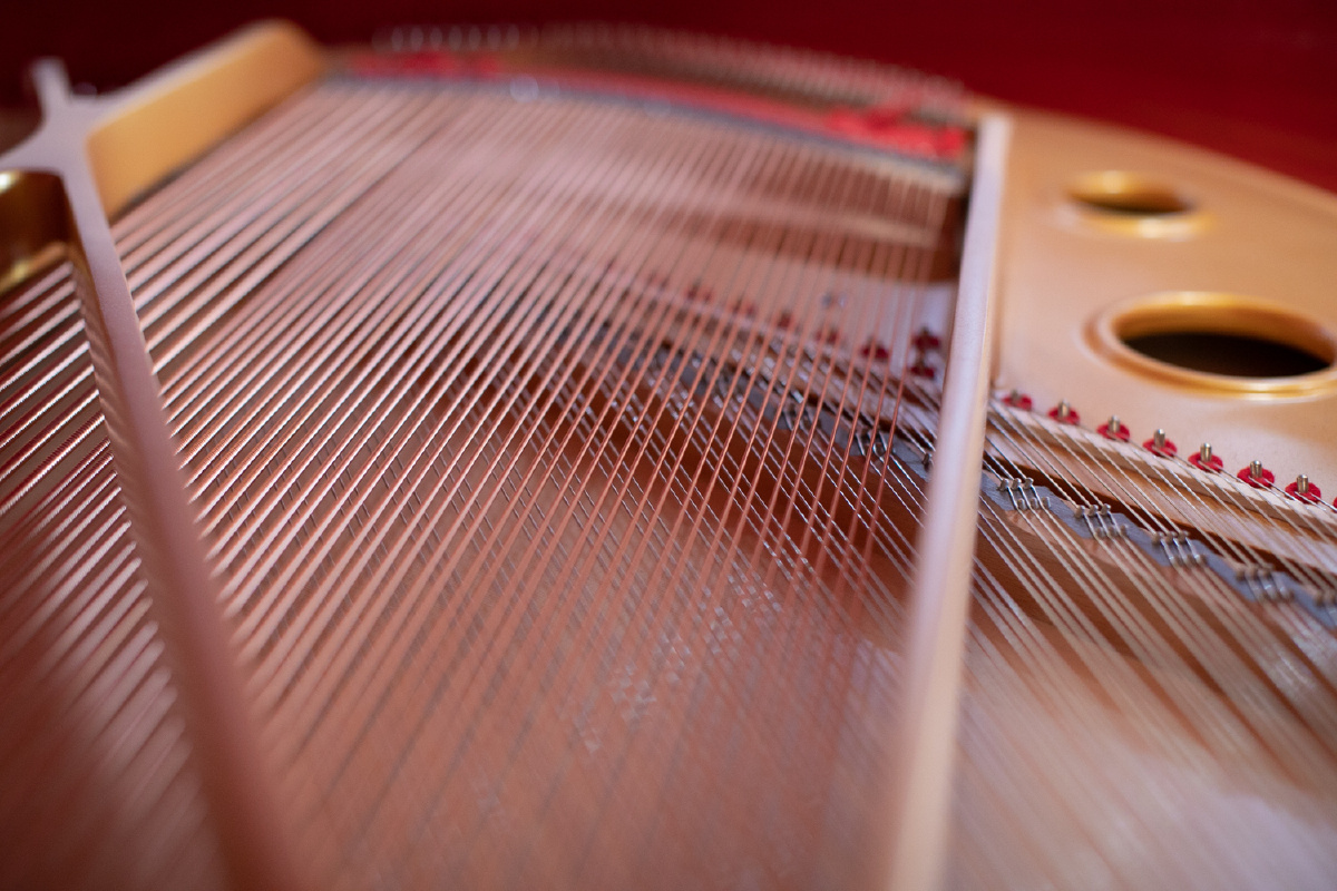 整齐漂亮钢琴弦