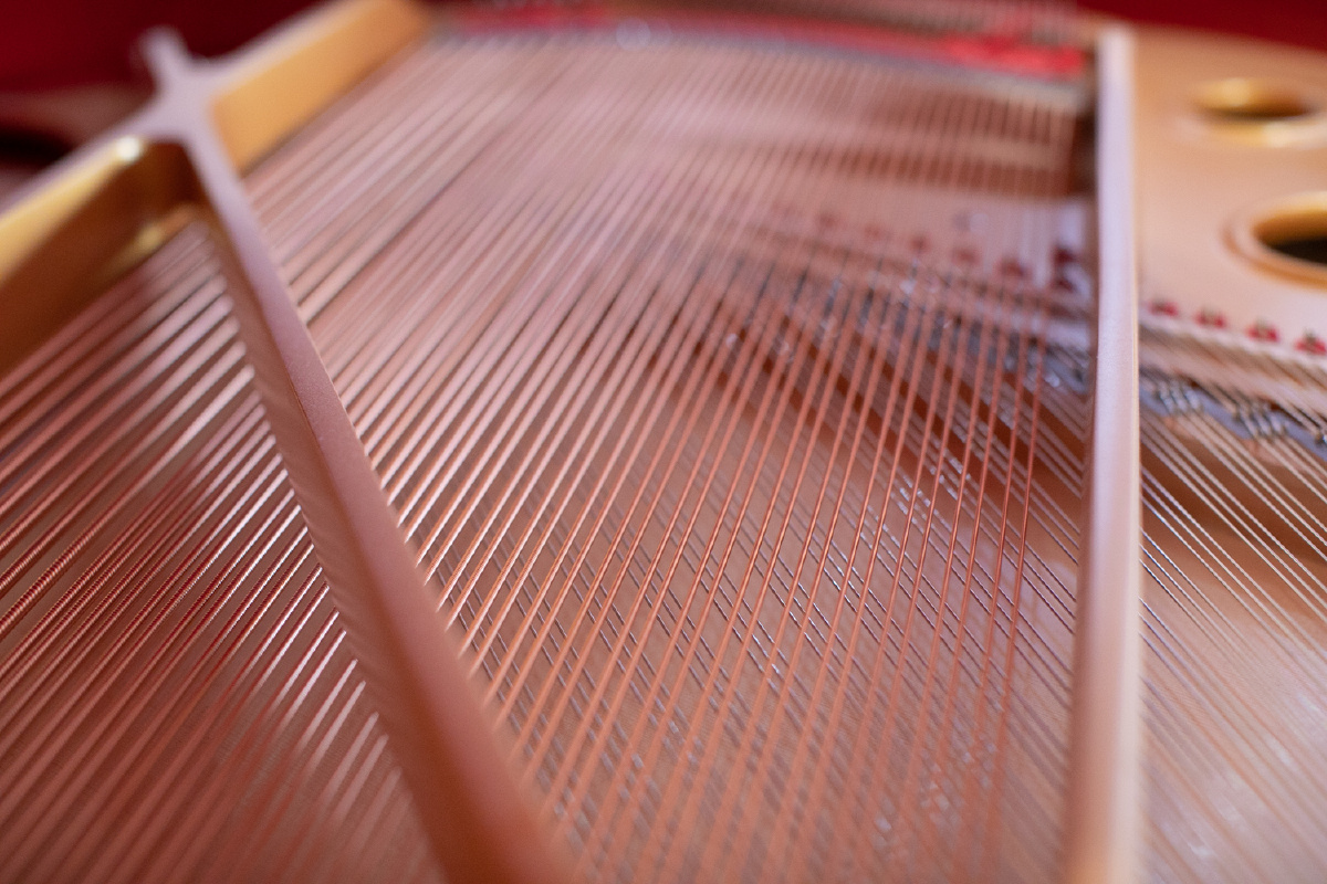 整齐漂亮钢琴弦