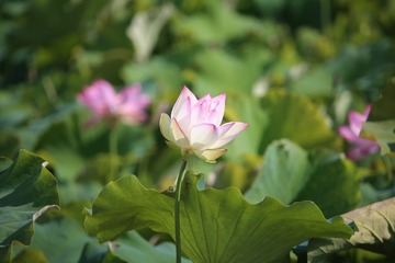 D40BCF7B-3869-4AAE-B577-EBF110D6FA1B/L0/001