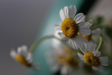 7C9F2105-7DFA-43B3-9255-6C133A6328B2/L0/001