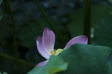 A5A8BC13-1B56-40B2-81F2-15CA3657D666/L0/001