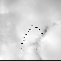1000013552