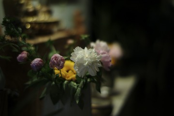 522A707E-6C4B-4D96-9148-6A668F1F9DE6/L0/001