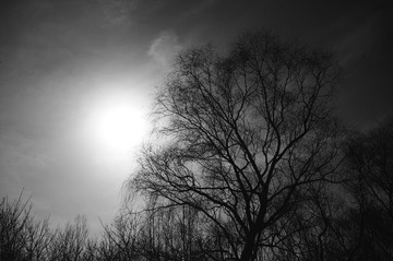 D8C053DB-1F60-4282-A1F0-E5BB744C2DF5/L0/001