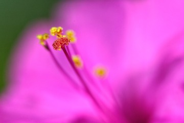6B6591BE-72DF-4F20-8BB9-6618285A7F25/L0/001